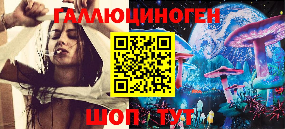 Псилоцибиновые грибы MAGIC MUSHROOMS  Вход с VPN  Тула  Галлюциногенные грибы Psilocybine cubensis 
