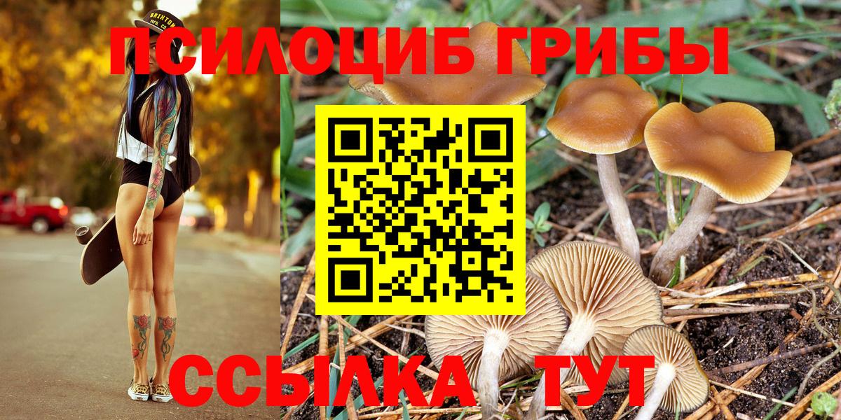 Галлюциногенные грибы ЛСД Тула
